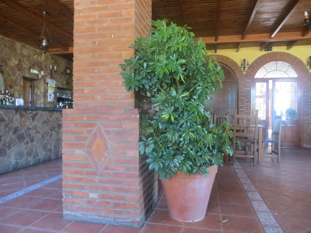 Hostal Rest. Campoabierto Valencia de las Torres 외부 사진